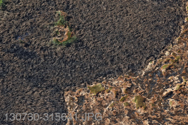 130730-315641