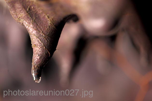 photoslareunion027