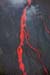 b150204-369706